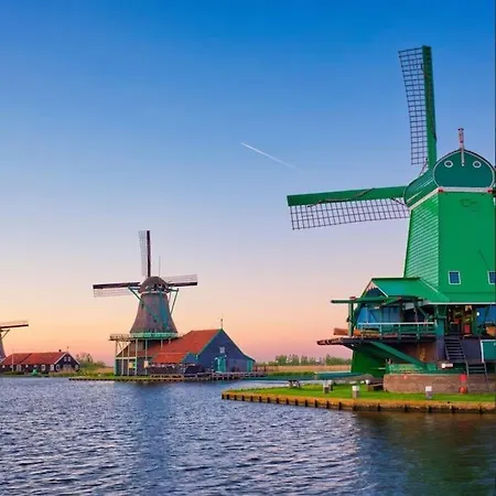 De Witte Reiger * Markenbinnen